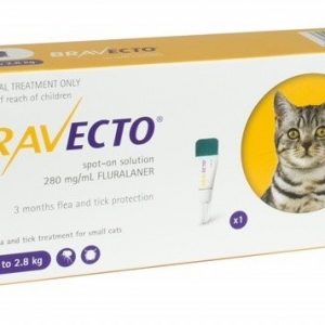 Bravecto 112.5 mg solutie spot-on pentru pisici mici