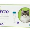 Bravecto 500mg solutie spot-on pentru pisici mari
