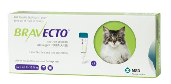 Bravecto 112.5 mg solutie spot-on pentru pisici mici