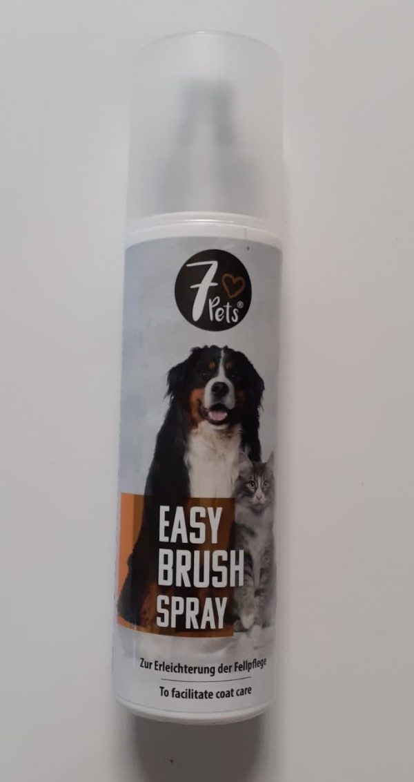 Easy brush spray 200ml